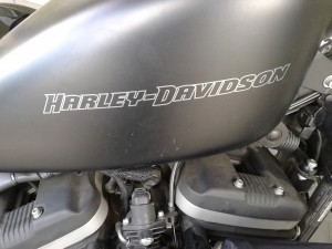 Harley davidson.